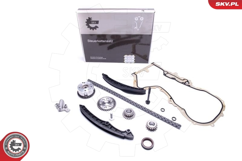 Timing Chain Kit